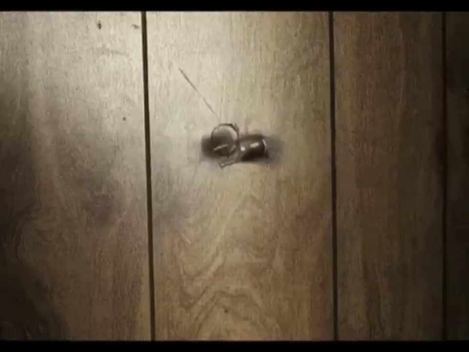 No Country for Old Men