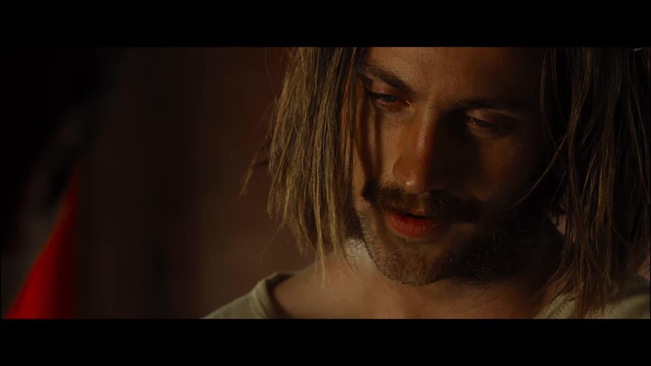 Nocturnal Animals