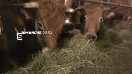 L'Ardèche au fil des saisons