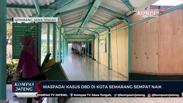 Waspada! Kasus DBD di Kota Semarang Sempat Naik