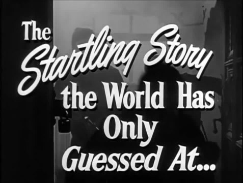 Le Renard du désert