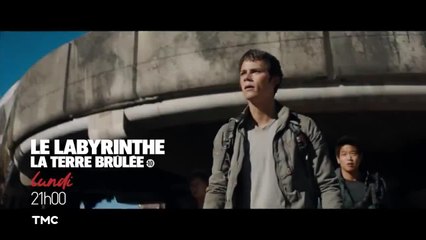 Le labyrinthe : la terre brûlée