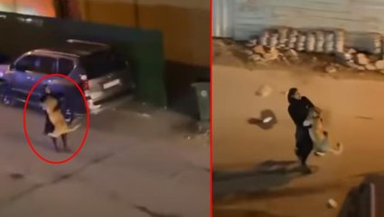 Dünya bu kadını konuşuyor! Kaçan aslanı kucağında eve kadar taşıdı