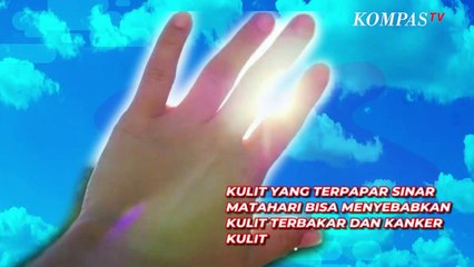 Apa itu Sunscreen dan Kenapa Wajib Dipakai Setiap Hari?