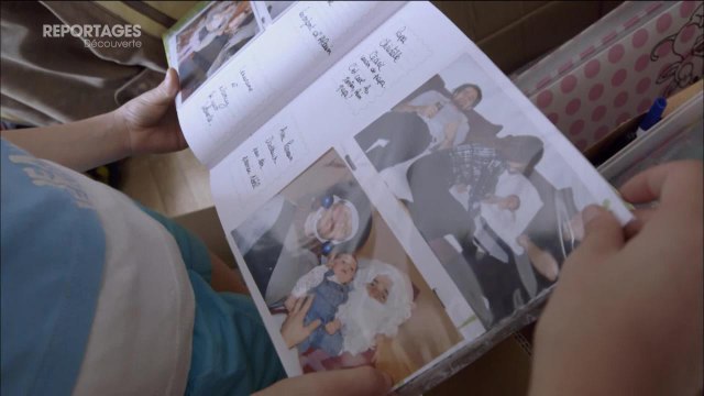 Reportages découverte (TF1) : animaux, oeuvres d'art... ces déménagements un peu particuliers