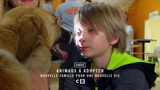 Animaux à adopter : nouvelle famille pour une nouvelle vie - 7 septembre