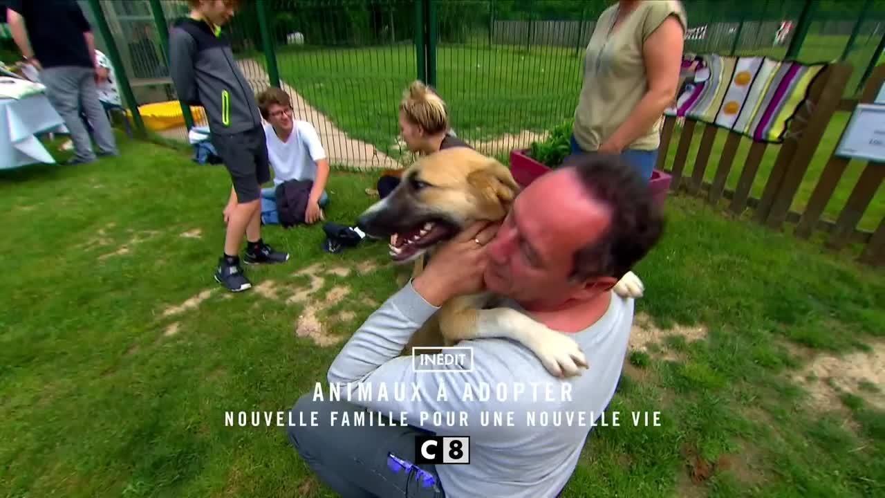 Animaux à adopter : nouvelle famille pour une...
