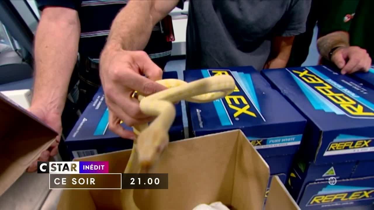 Douanes sous haute surveillance - 14 août