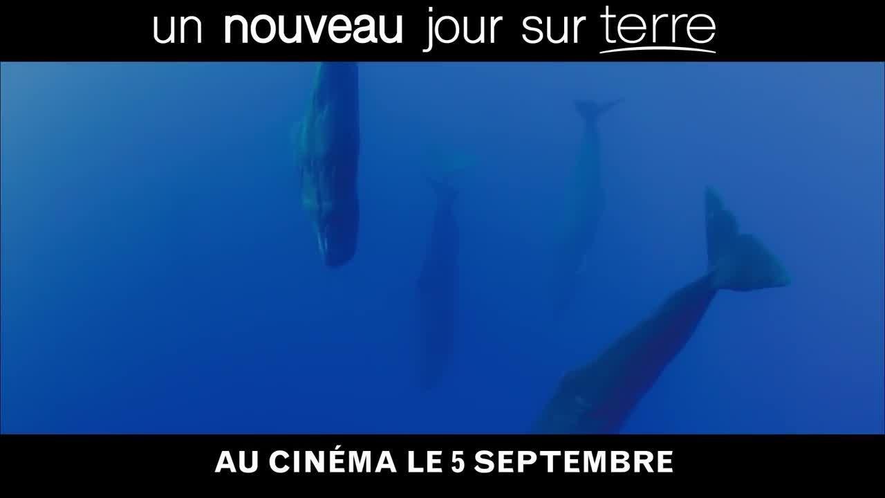 Un nouveau jour sur Terre : bande-annonce du documentaire animalier raconté par Lambert Wilson (VF)