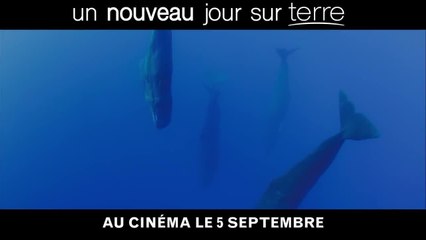 Un nouveau jour sur Terre : bande-annonce du documentaire animalier raconté par Lambert Wilson (VF)