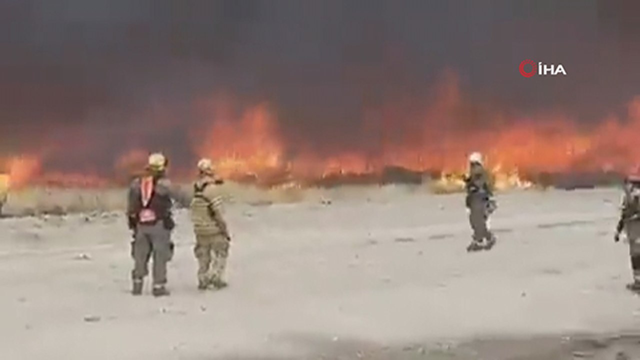 Patagonya yangını 90 bin hektar alanı küle çevirdi