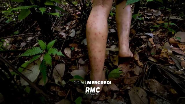 Retour à l'instinct primaire, premier épisode (29 août)