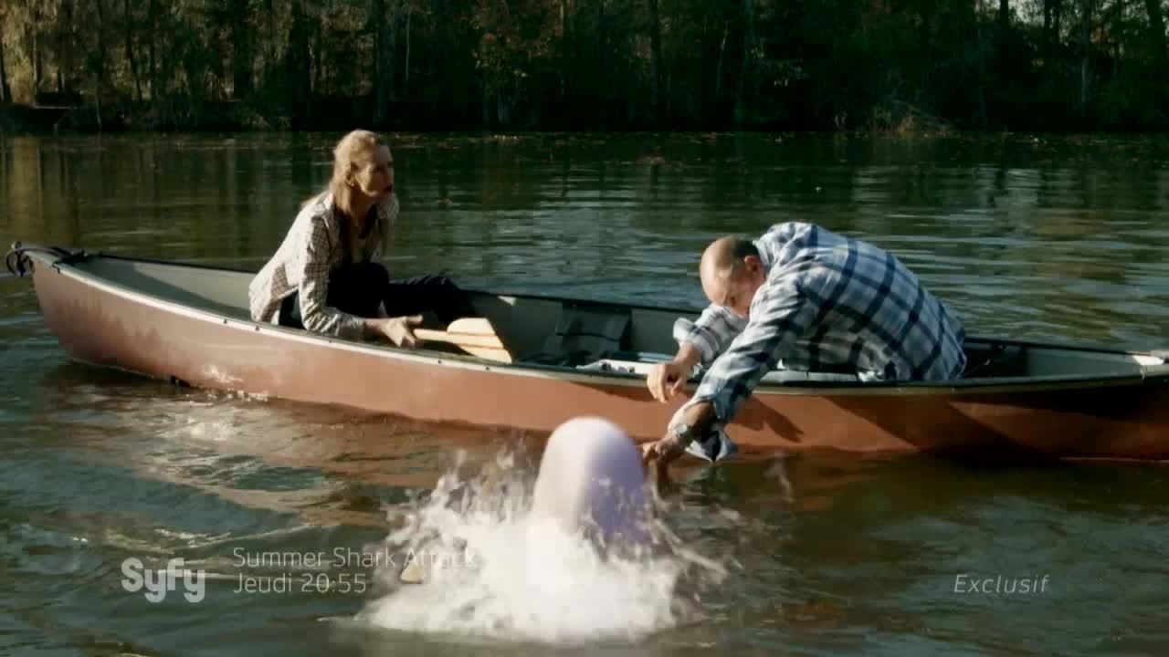 Summer Shark Attack