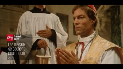 Les oiseaux se cachent pour mourir