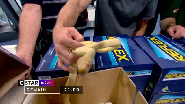 Douanes sous haute surveillance - 31 juillet