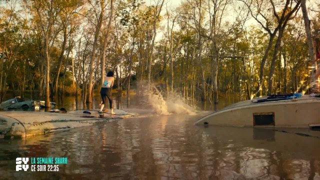 Ice Sharks : requins des glaces