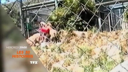 Les 30 histoires stupéfiantes