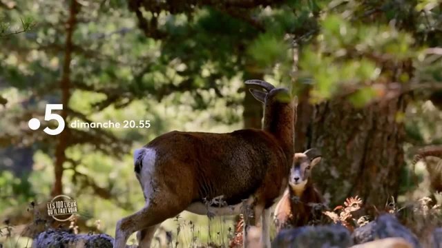 Les 100 lieux qu'il faut voir : Corse du sud + La Vendée - 5 août