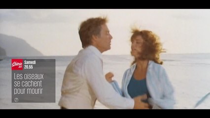 Les oiseaux se cachent pour mourir