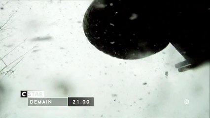 True justice - 8 août