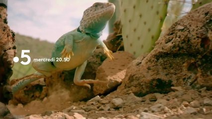 Royaume secrets - 8 août