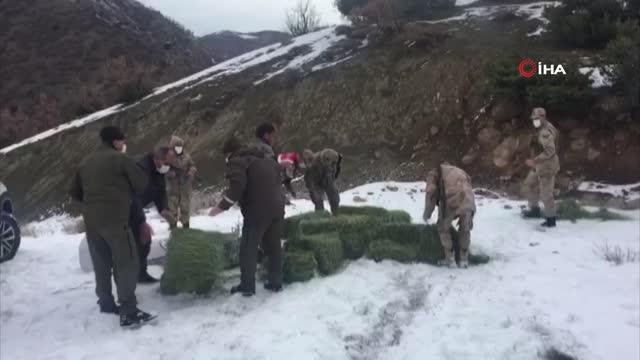 Son dakika haberleri: Jandarma ekipleri yaban hayatı için doğaya yem bıraktı