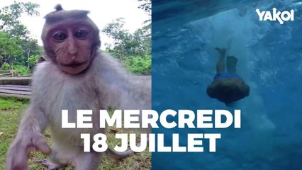 Yakoi à regarder à la télé ce soir (mercredi 18 juillet) ?