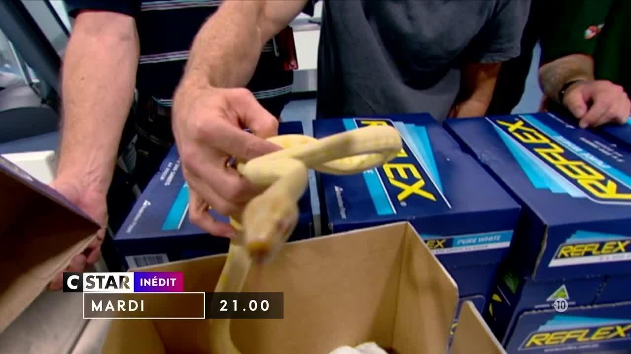 Douanes sous haute surveillance - 10 juillet