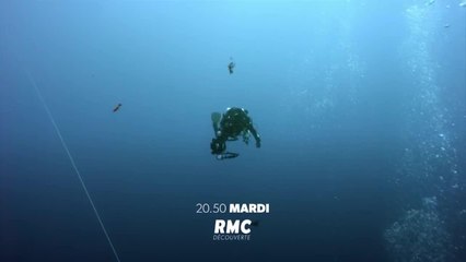 Atlantide, la cité perdue