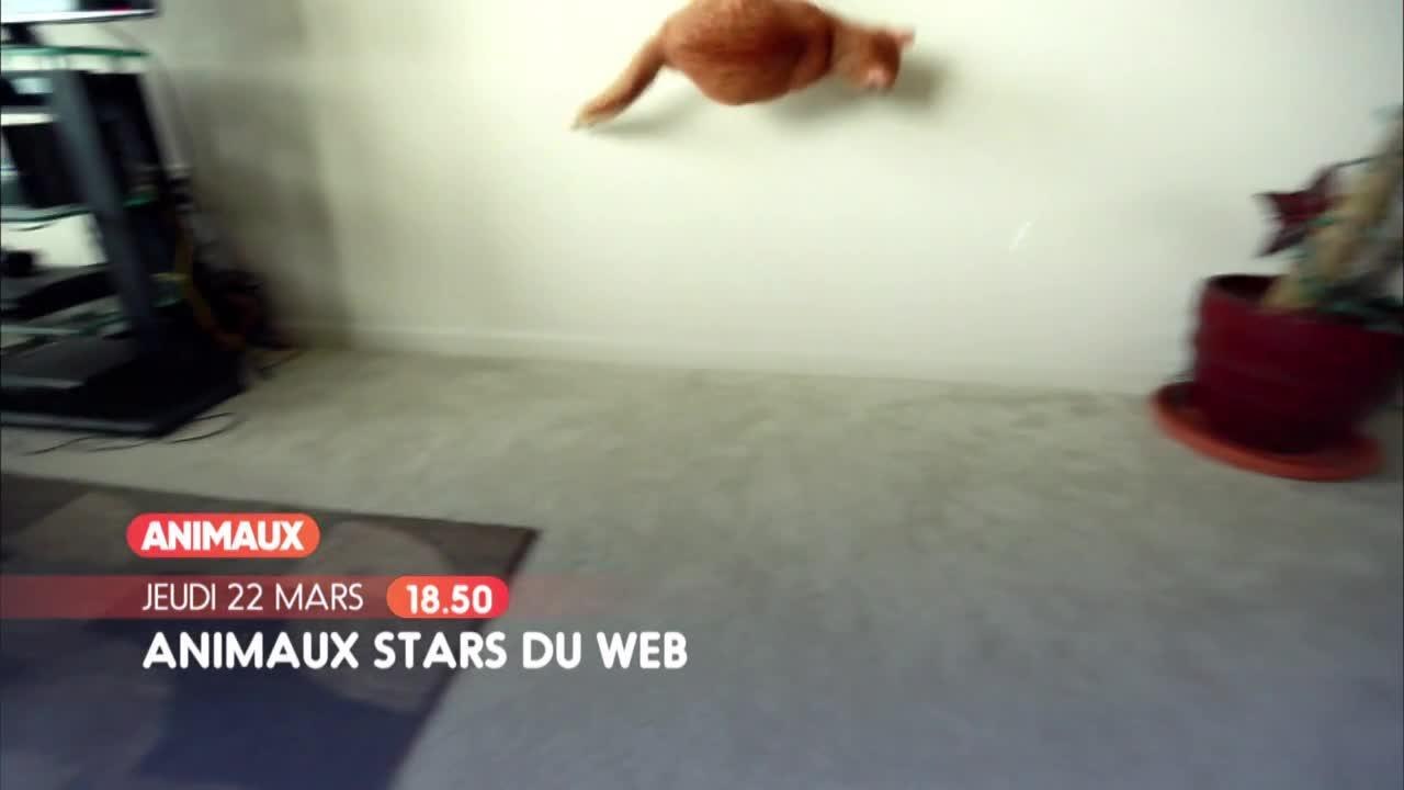 Cameraman en danger