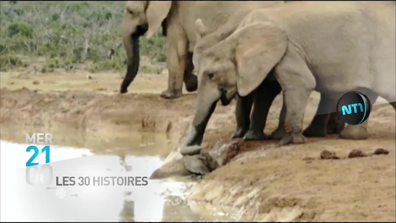 Les 30 histoires extrêmes