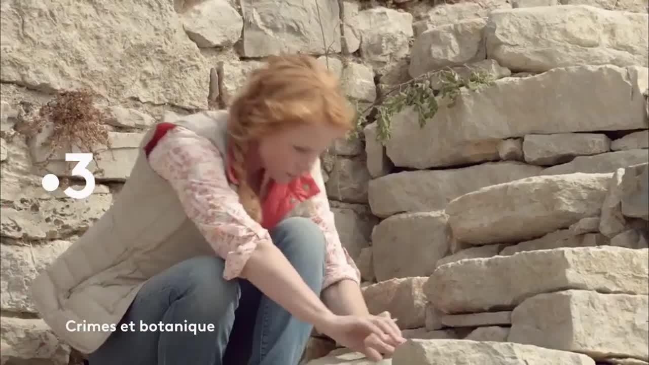 Crimes et botanique