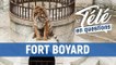 TLQ Fort Boyard - Comment les animaux de Fort Boyard sont-ils transportés sur le fort ?