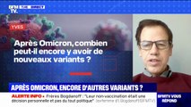 Après Omicron, combien peut-il y avoir de nouveaux variants ? - BFMTV répond à vos questions