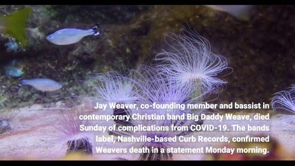 Big Daddy Weave bassist Jay Weaver dies of COVID 19 complications