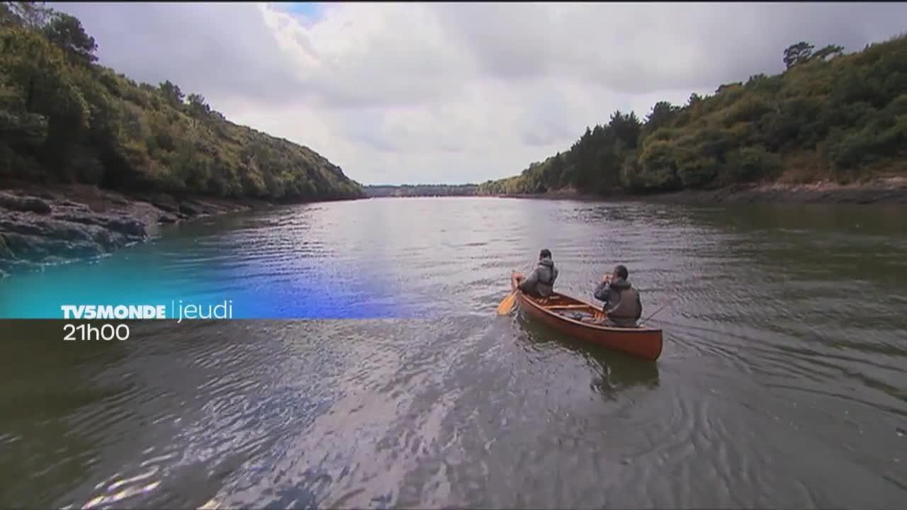 Des racines et des ailes