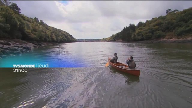 Des racines et des ailes