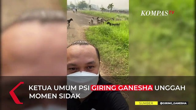 Detik-Detik Giring PSI Kejeblos Saat Sidak Lokasi Formula E di Ancol