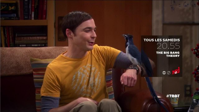 The Big Bang Theory - 16 juin