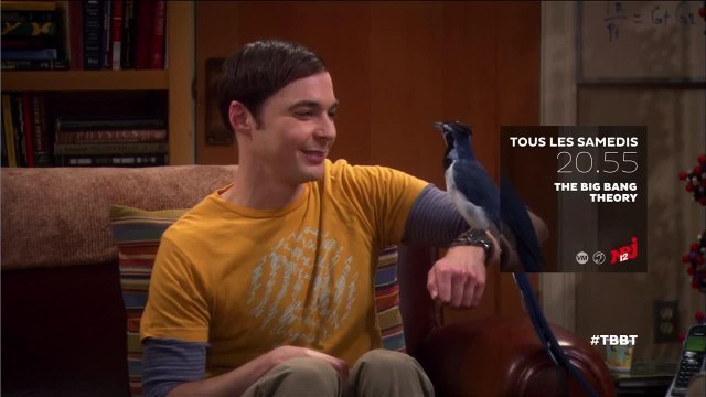The Big Bang Theory - 2 juin