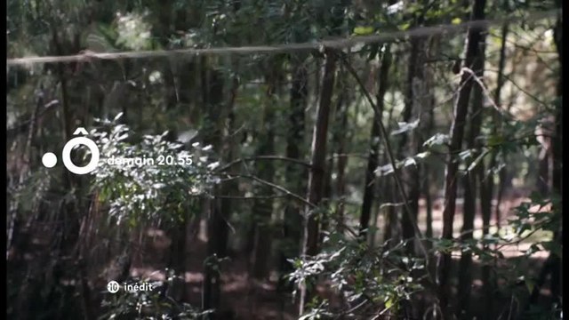 Underground - 15 mai