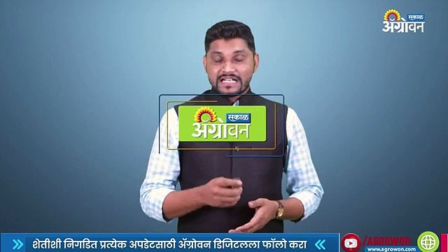 राज्यात पावसाला पोषक हवामान | Weather Update | Maharashtra Weather l Sakal
