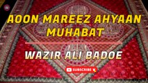 Aoon Mareez Ahyaan Muhabat | Wazir Ali Badoe | New Sindhi Song | Sindhi Gaana