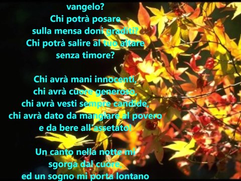 UN CANTO NELLA NOTTE MI SGORGA DAL CUORE - Musica di Renato Tagliabue
