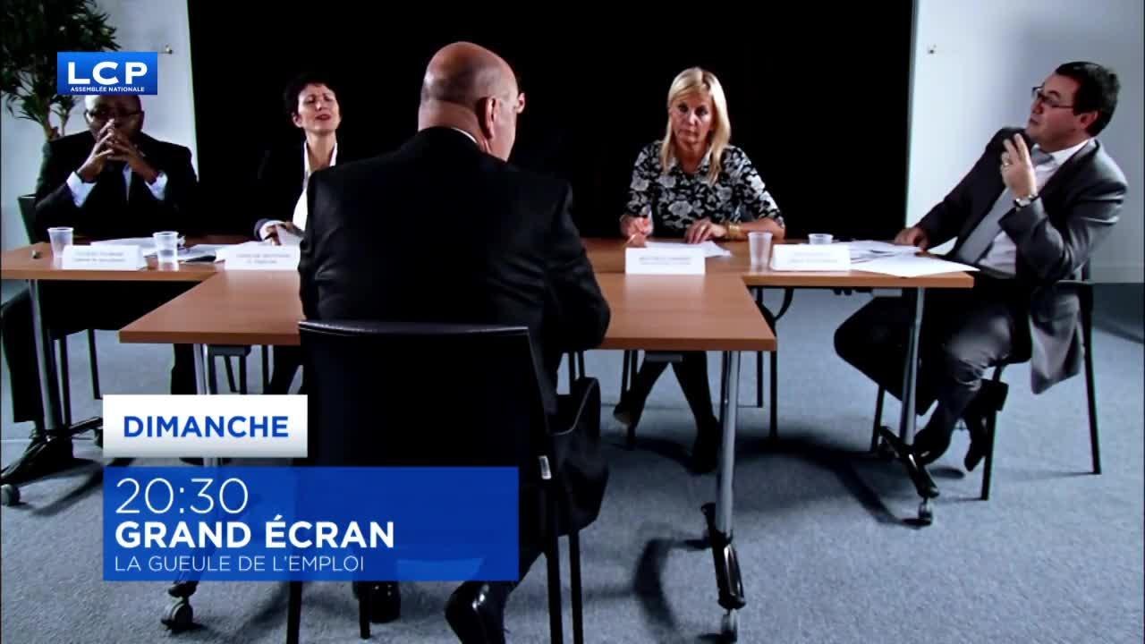 La gueule de l'emploi