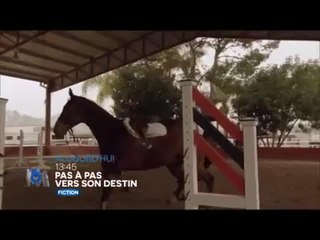 Pas à pas vers son destin