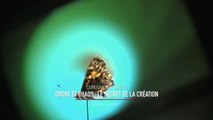 Ordre et chaos : le secret de la création