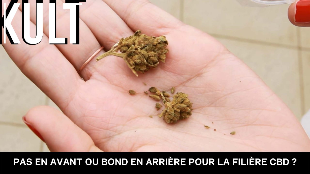 Pas en avant ou bond en arrière pour la filière CBD ?