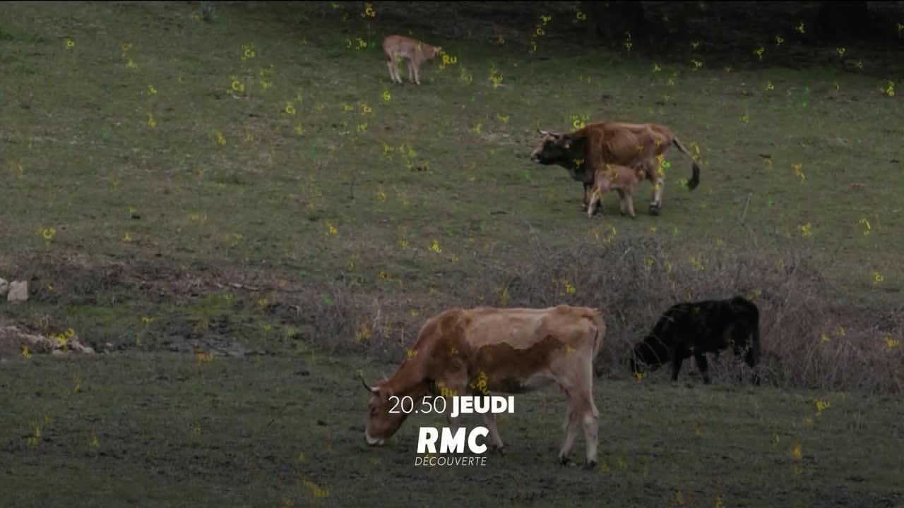 Hors de contrôle - 26 avril