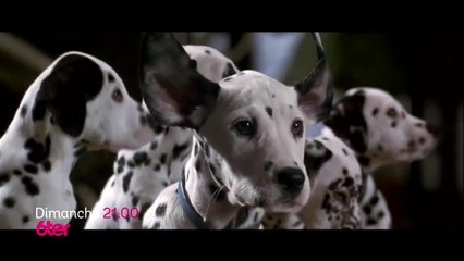 Les 101 dalmatiens